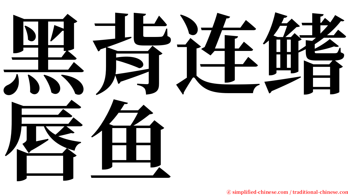 黑背连鳍唇鱼 serif font