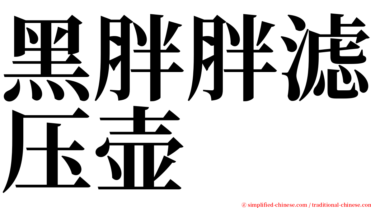 黑胖胖滤压壶 serif font