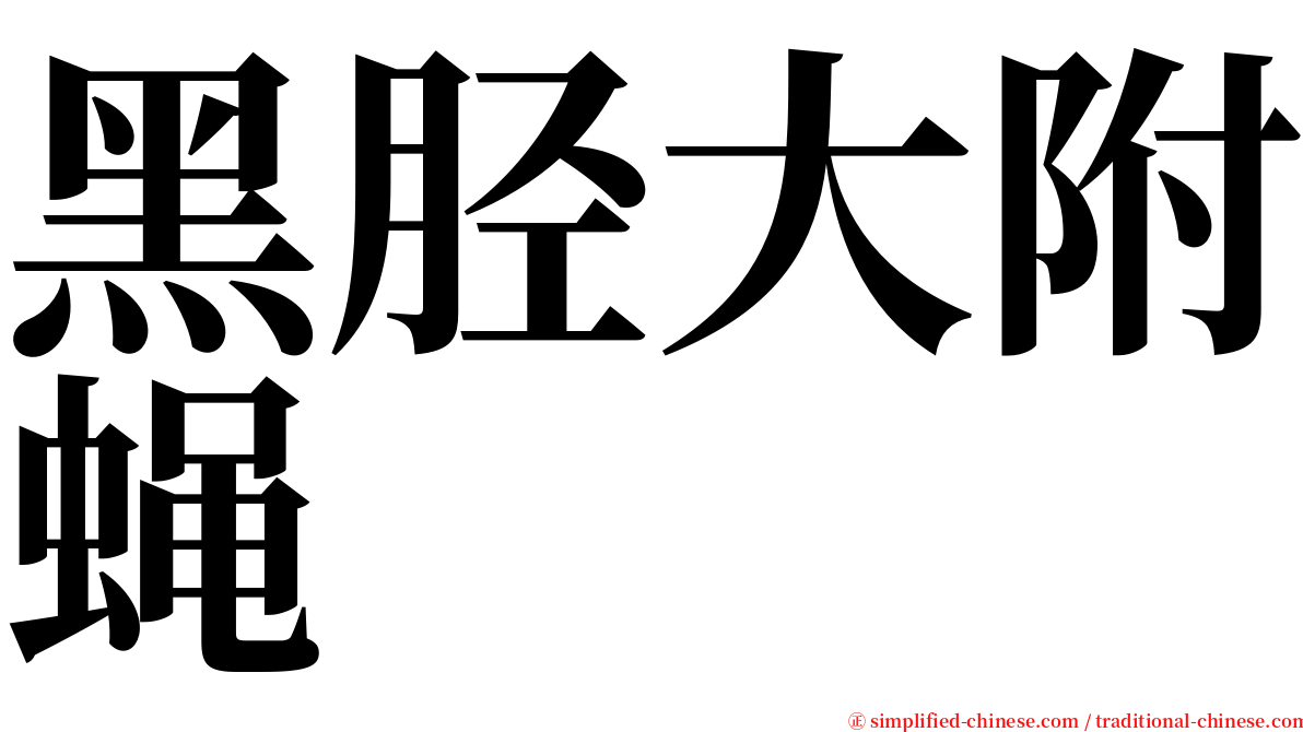 黑胫大附蝇 serif font