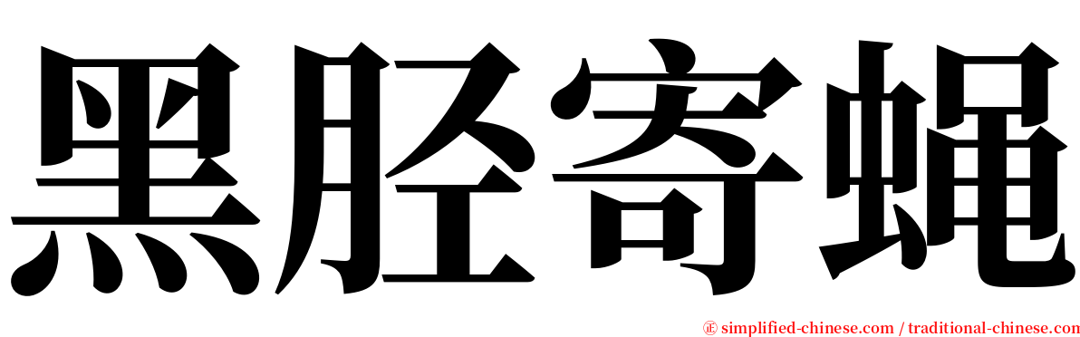 黑胫寄蝇 serif font