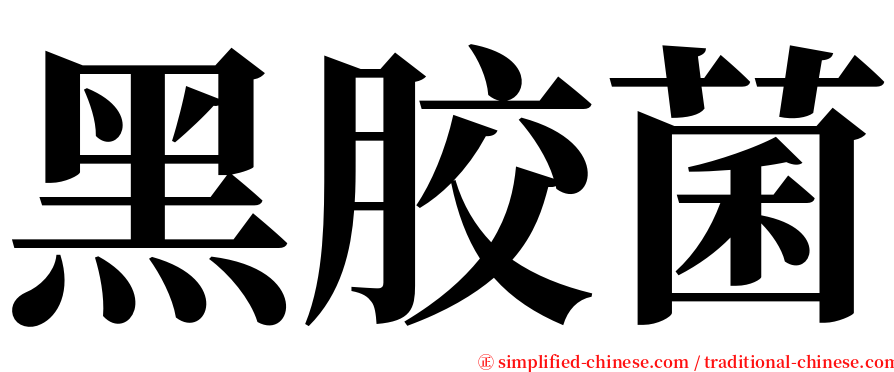 黑胶菌 serif font