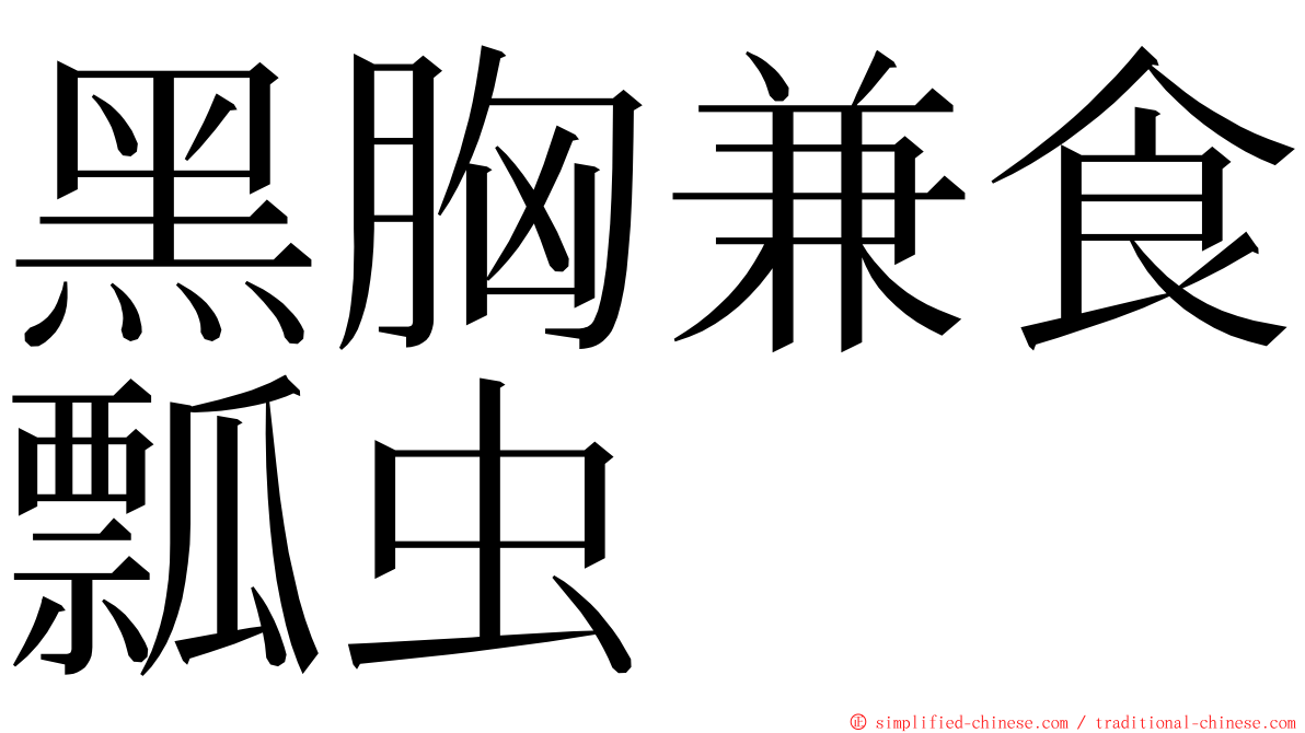 黑胸兼食瓢虫 ming font