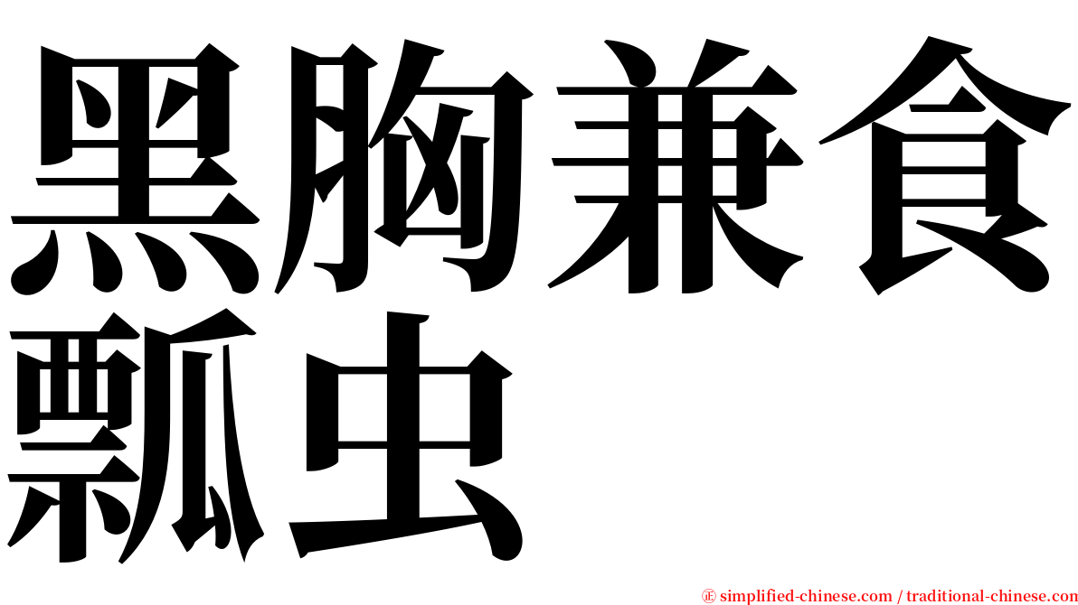 黑胸兼食瓢虫 serif font