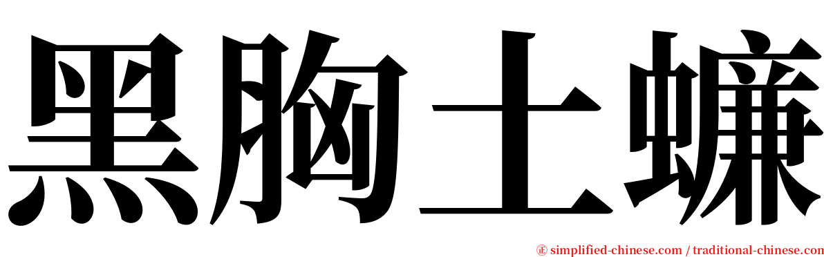 黑胸土蠊 serif font