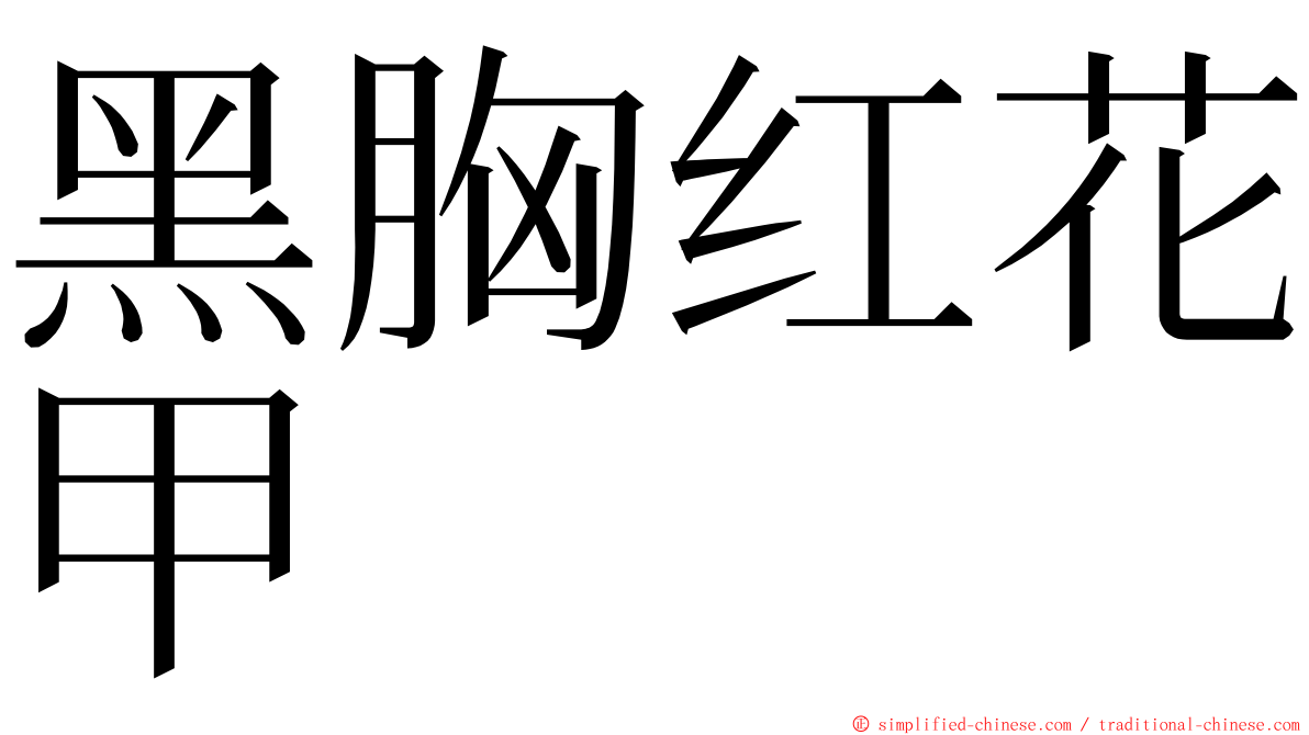 黑胸红花甲 ming font