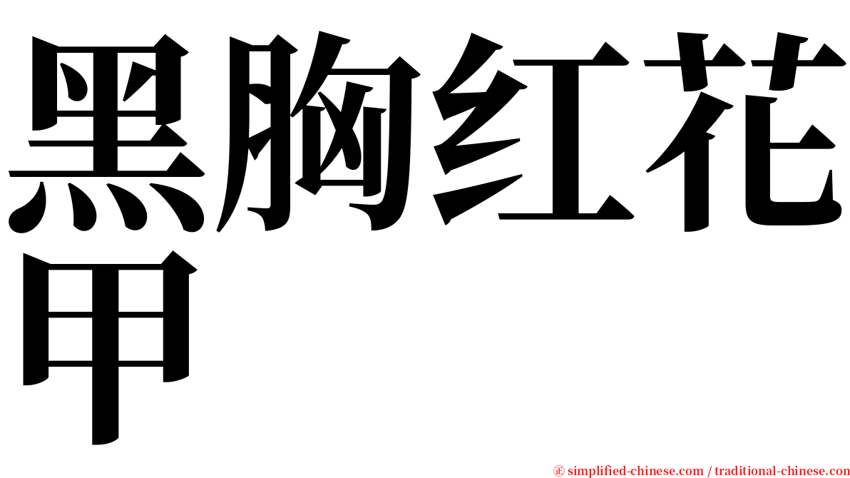 黑胸红花甲 serif font