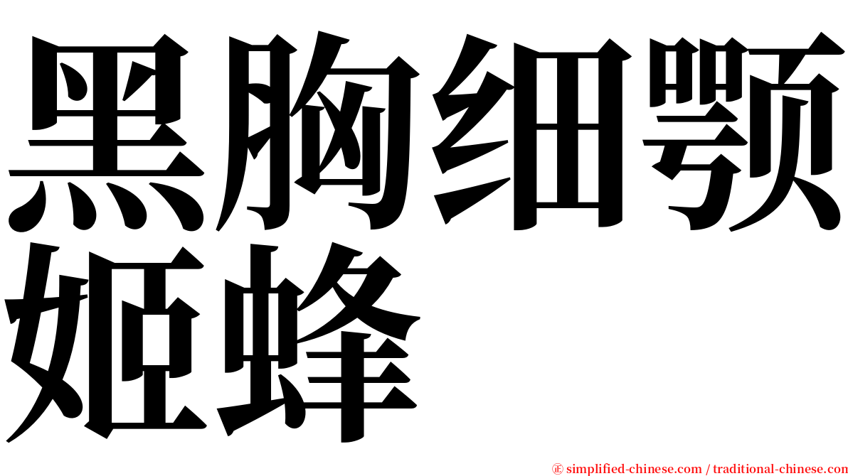 黑胸细颚姬蜂 serif font