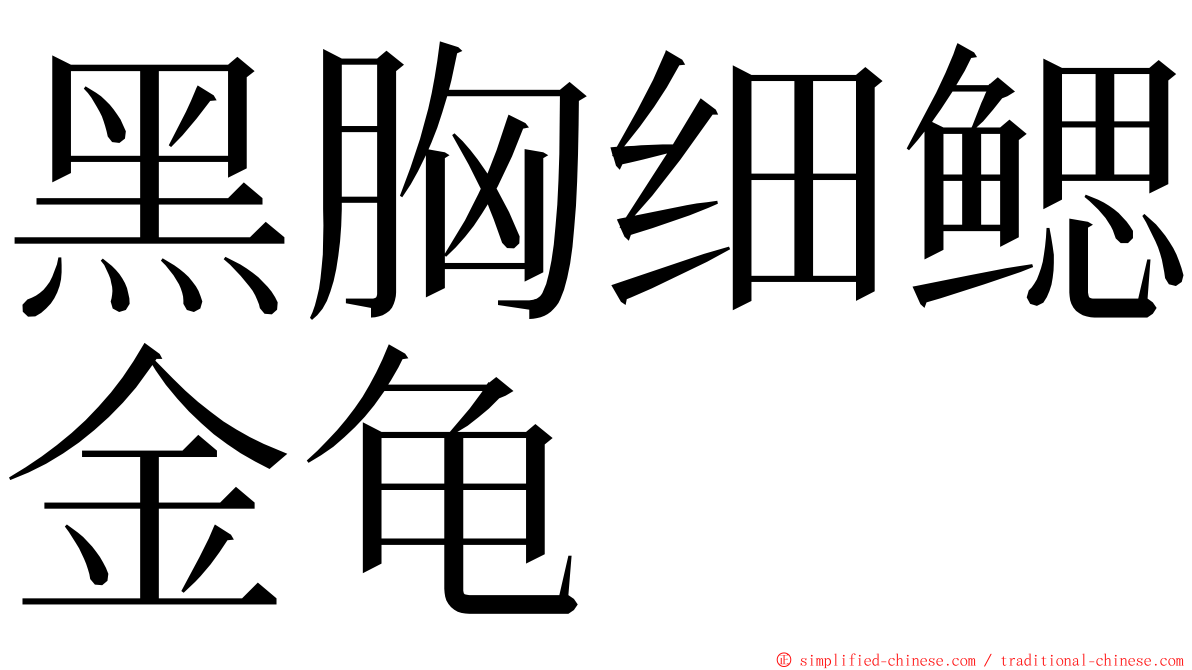 黑胸细鳃金龟 ming font
