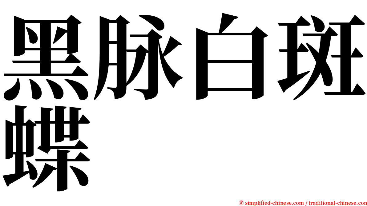 黑脉白斑蝶 serif font