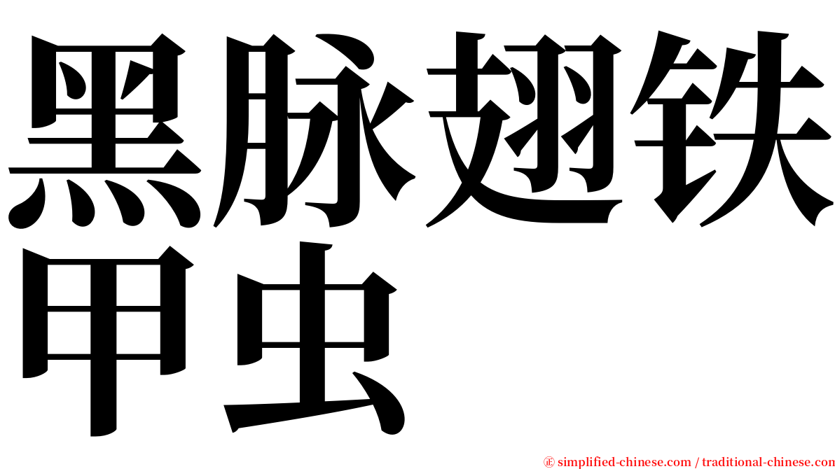 黑脉翅铁甲虫 serif font