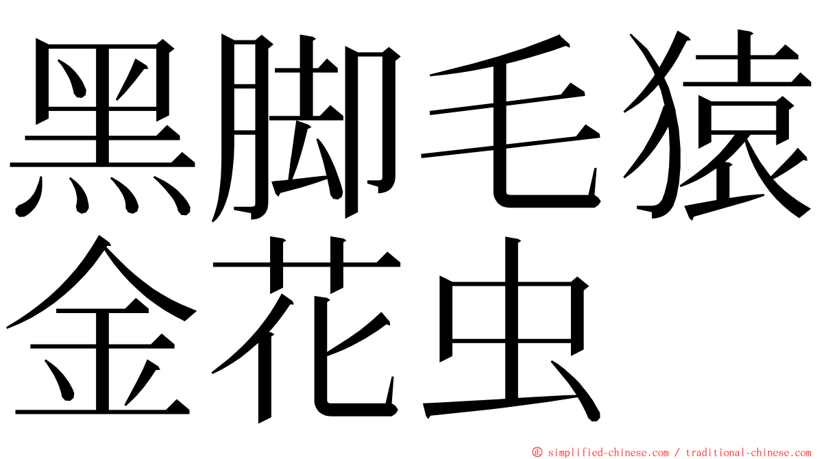 黑脚毛猿金花虫 ming font