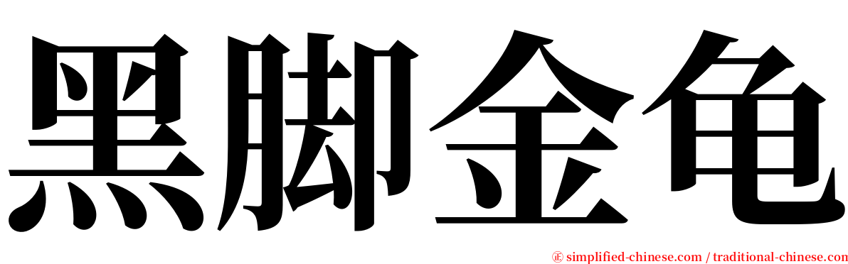 黑脚金龟 serif font