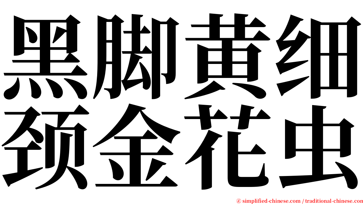 黑脚黄细颈金花虫 serif font