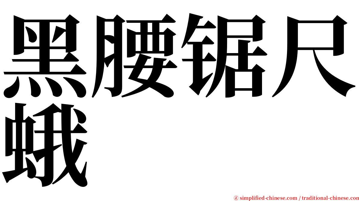 黑腰锯尺蛾 serif font