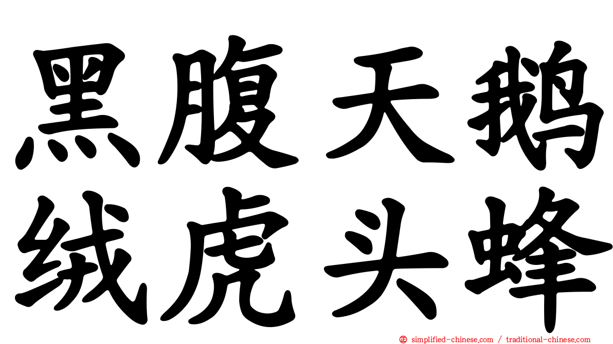 黑腹天鹅绒虎头蜂