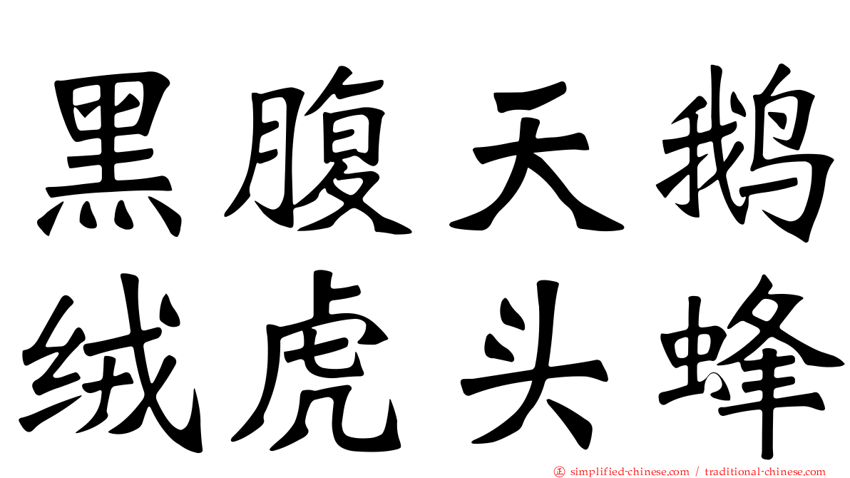 黑腹天鹅绒虎头蜂