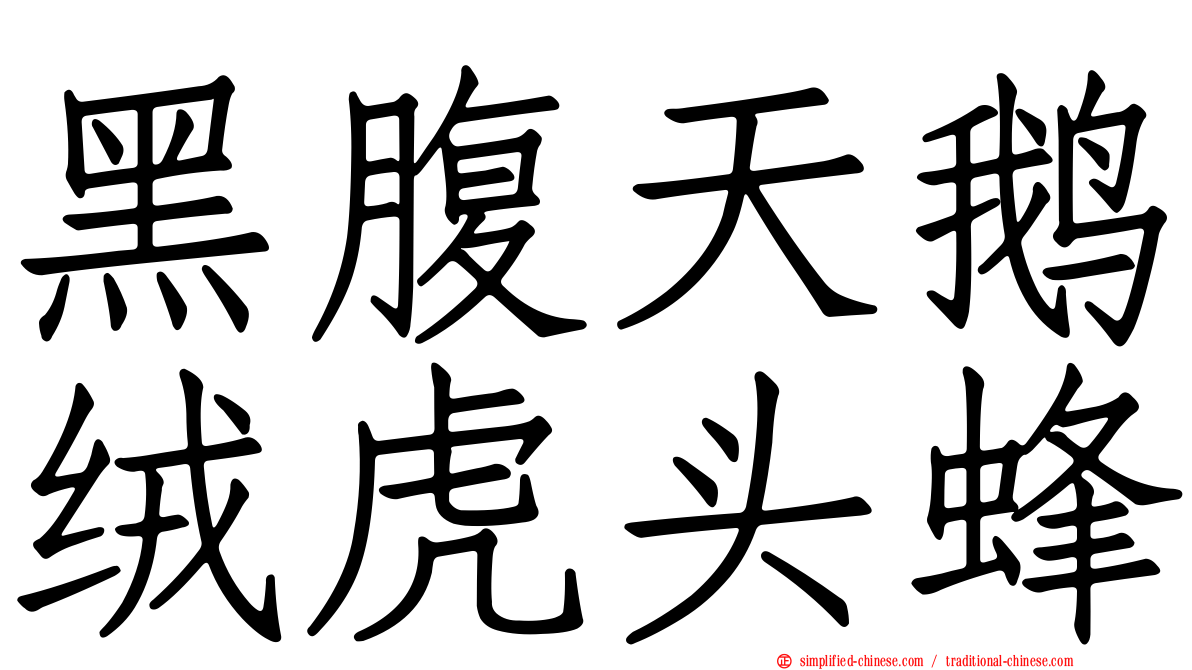 黑腹天鹅绒虎头蜂