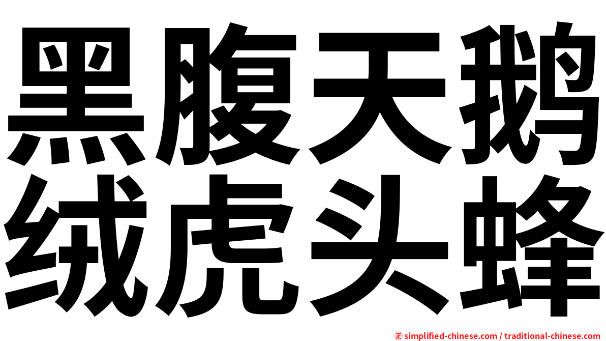 黑腹天鹅绒虎头蜂