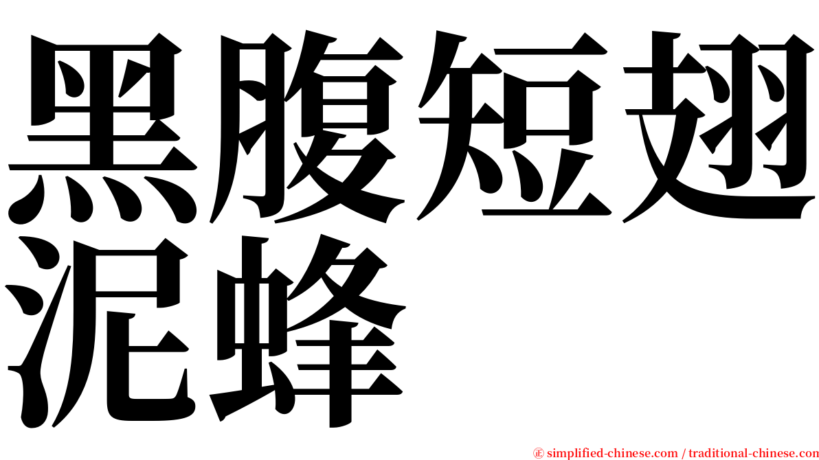 黑腹短翅泥蜂 serif font