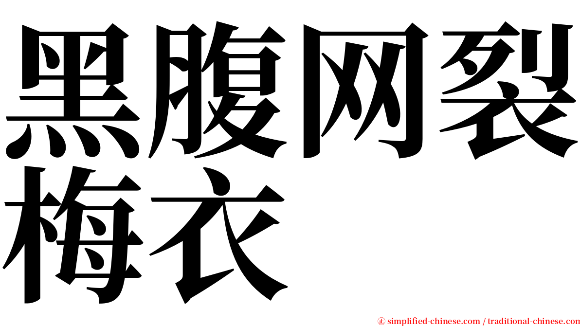 黑腹网裂梅衣 serif font