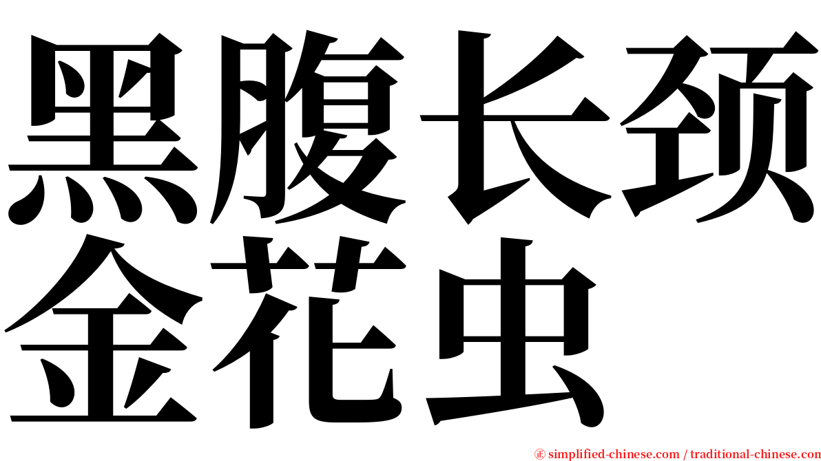 黑腹长颈金花虫 serif font