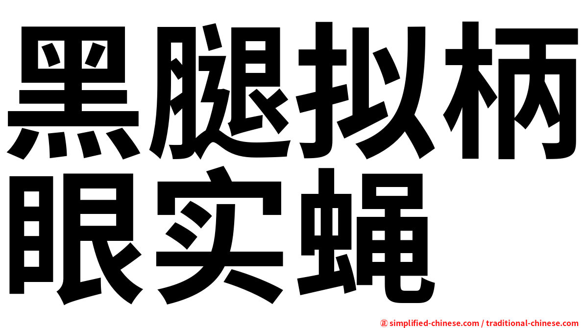 黑腿拟柄眼实蝇