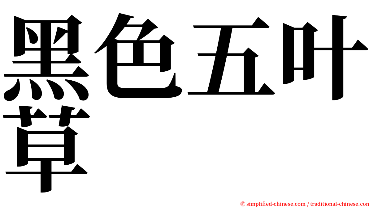 黑色五叶草 serif font