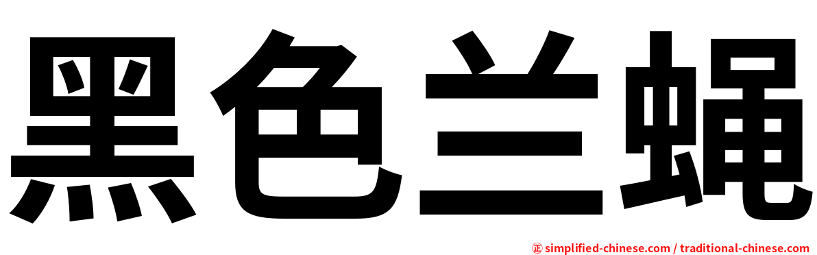 黑色兰蝇