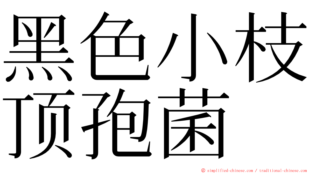 黑色小枝顶孢菌 ming font
