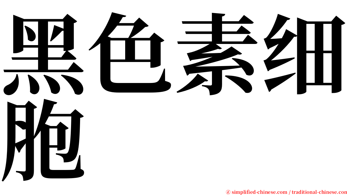 黑色素细胞 serif font