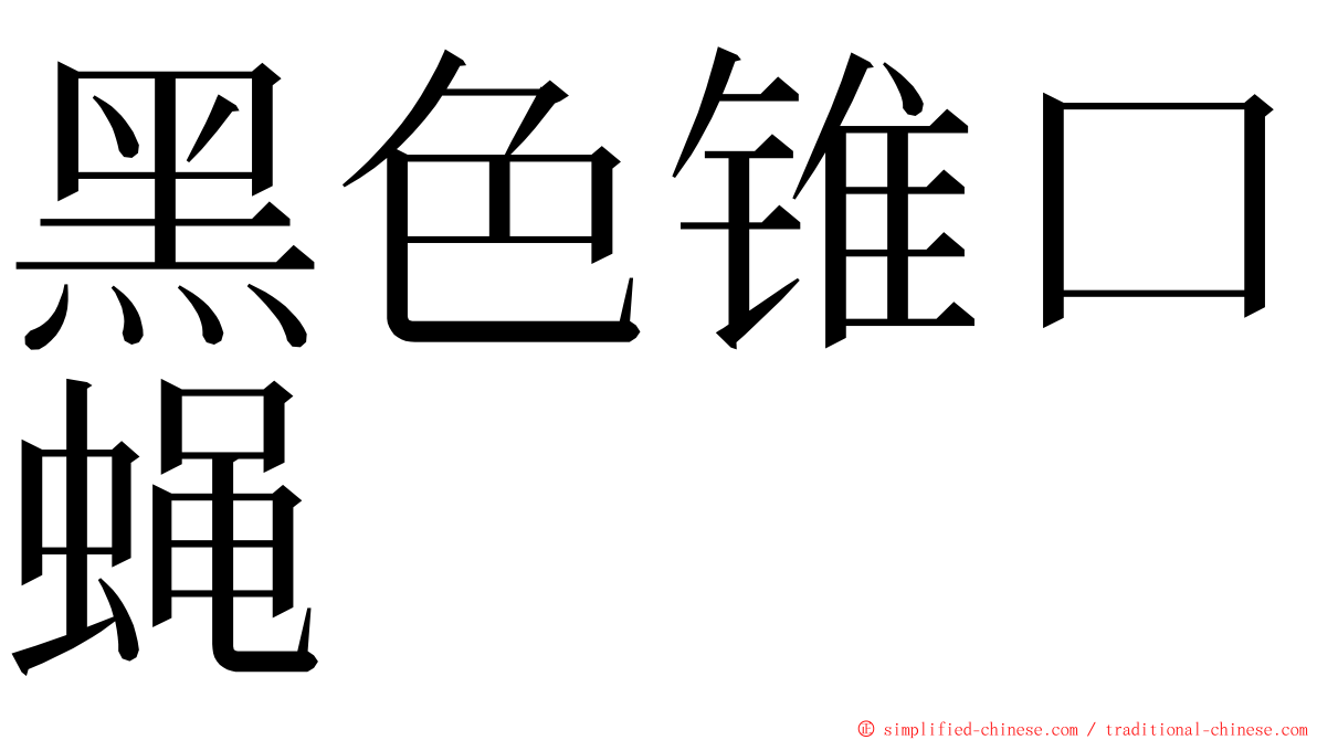 黑色锥口蝇 ming font