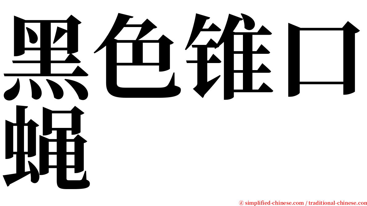 黑色锥口蝇 serif font