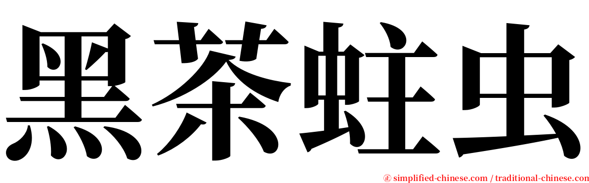 黑茶蛀虫 serif font