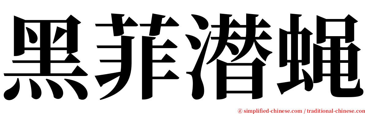 黑菲潜蝇 serif font