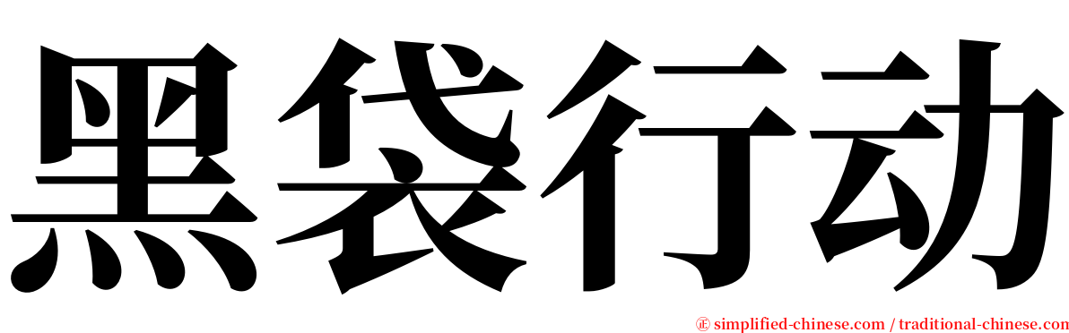 黑袋行动 serif font