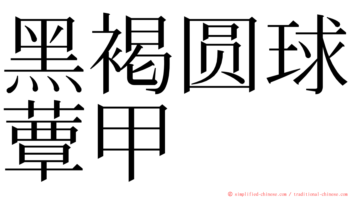 黑褐圆球蕈甲 ming font