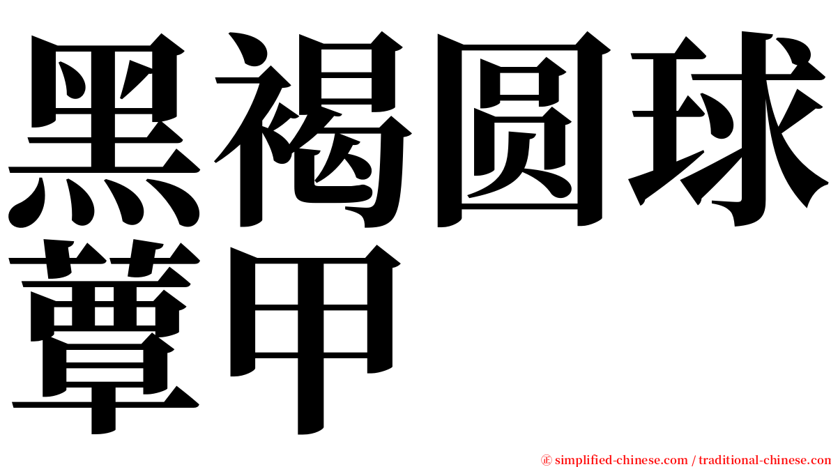 黑褐圆球蕈甲 serif font