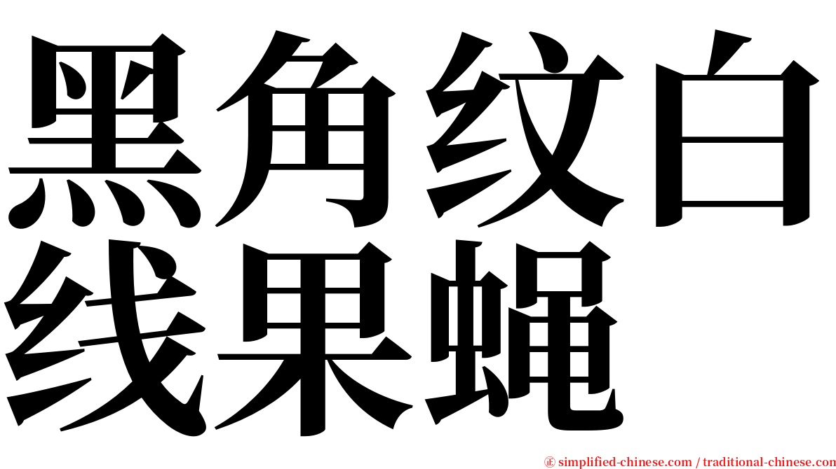 黑角纹白线果蝇 serif font