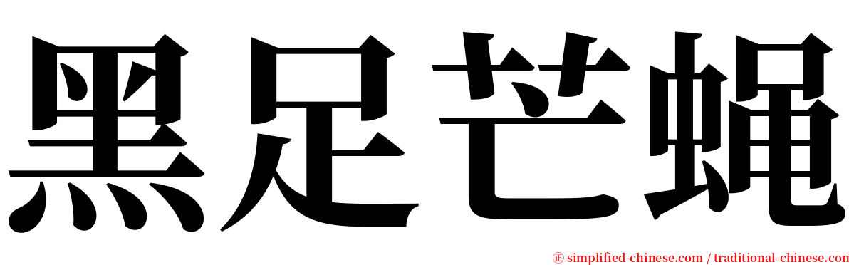 黑足芒蝇 serif font