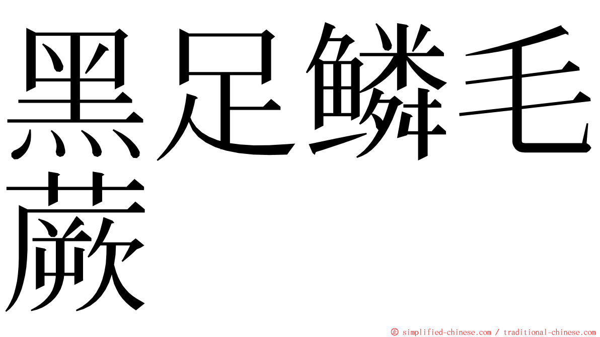 黑足鳞毛蕨 ming font