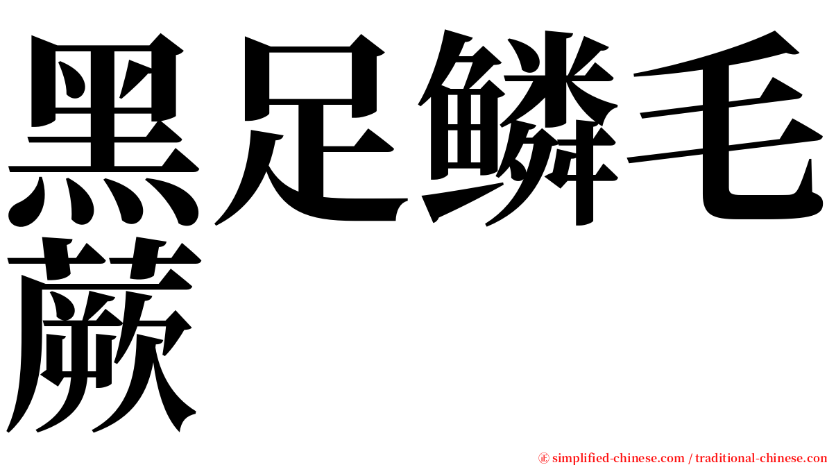 黑足鳞毛蕨 serif font