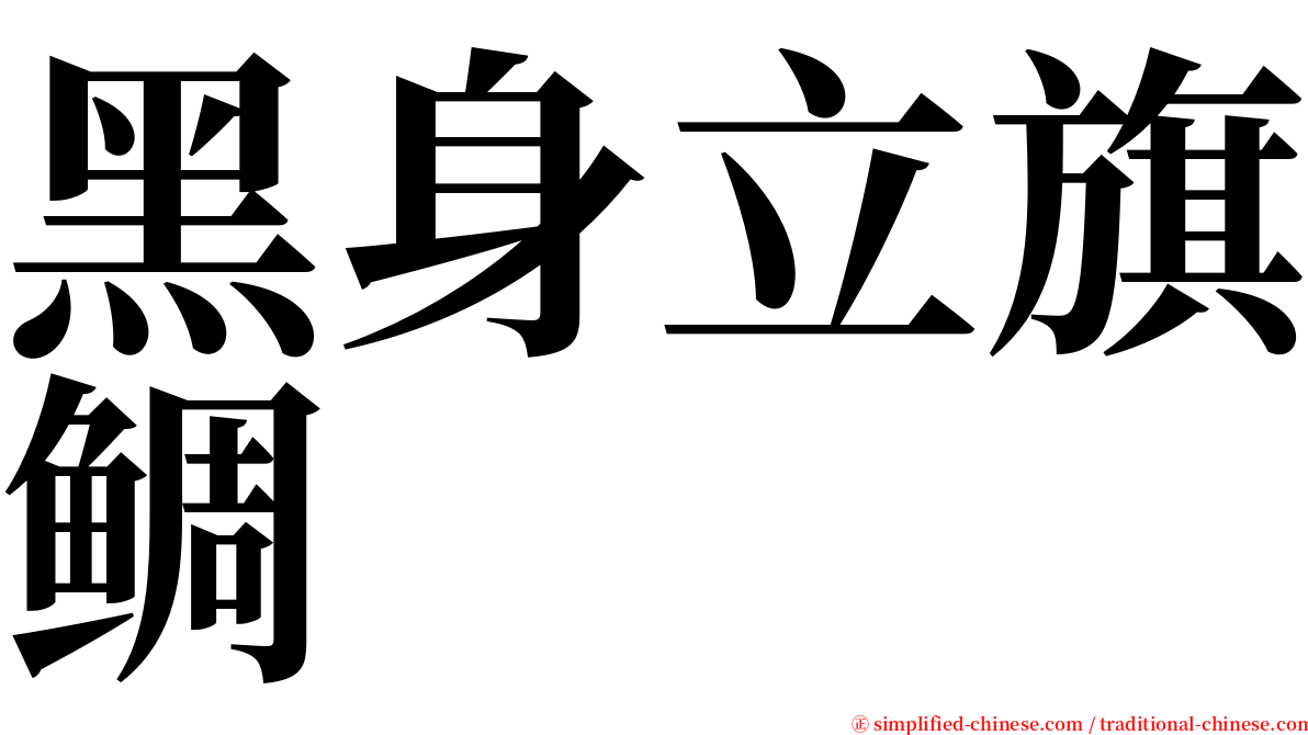 黑身立旗鲷 serif font