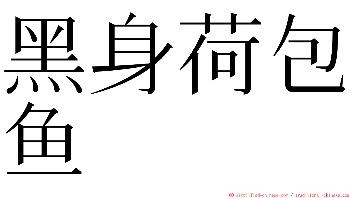 黑身荷包鱼 ming font