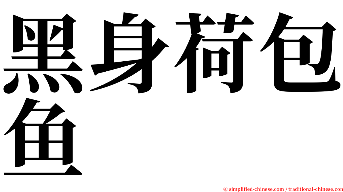 黑身荷包鱼 serif font