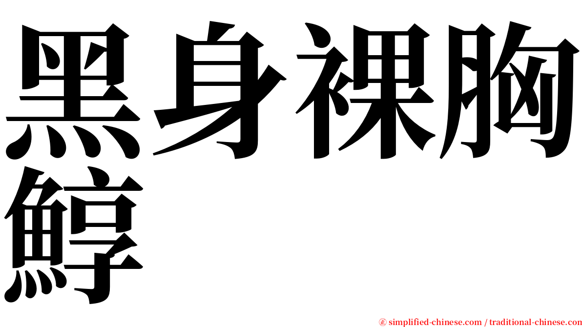 黑身裸胸鯙 serif font