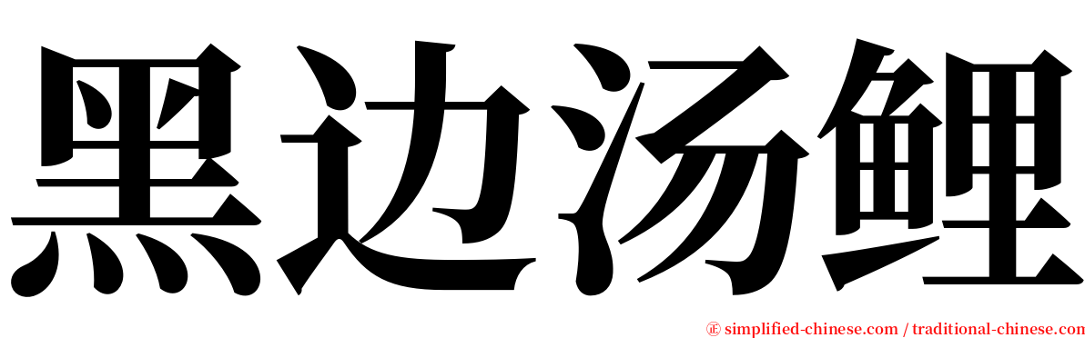 黑边汤鲤 serif font