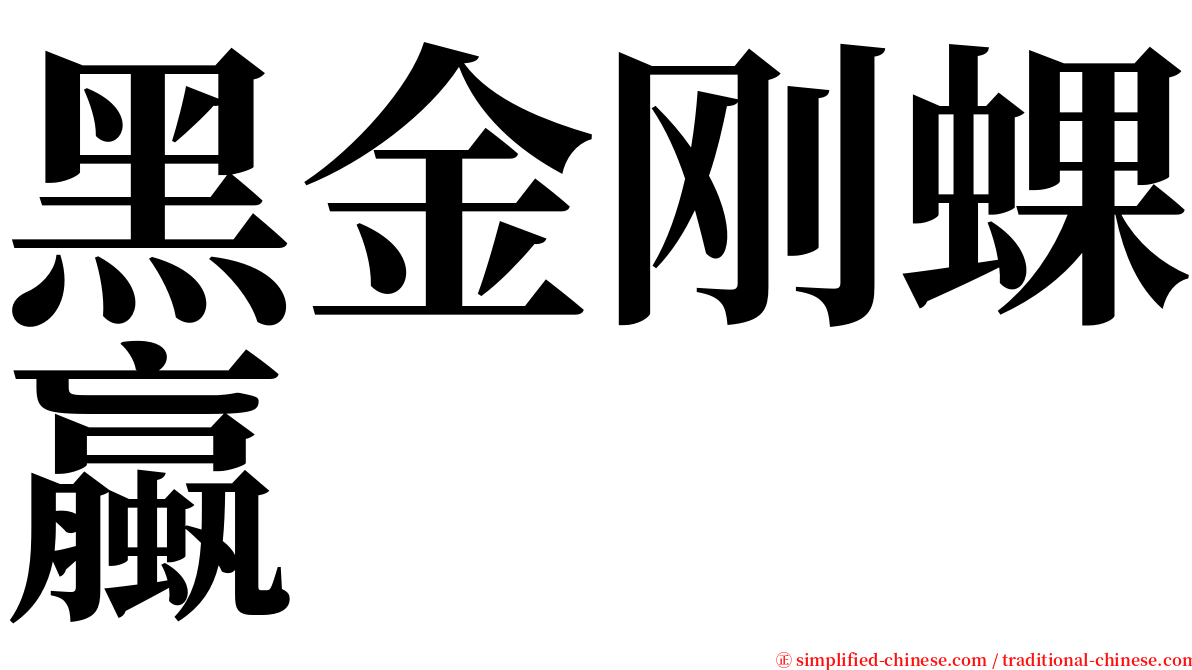 黑金刚蜾蠃 serif font