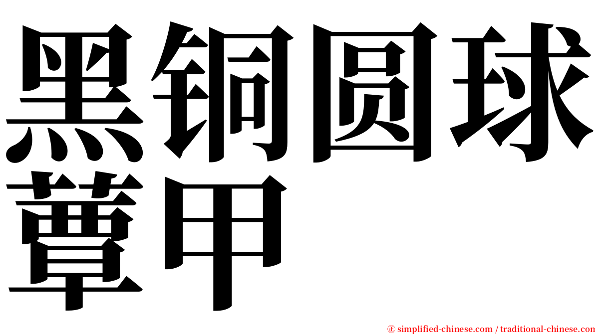 黑铜圆球蕈甲 serif font