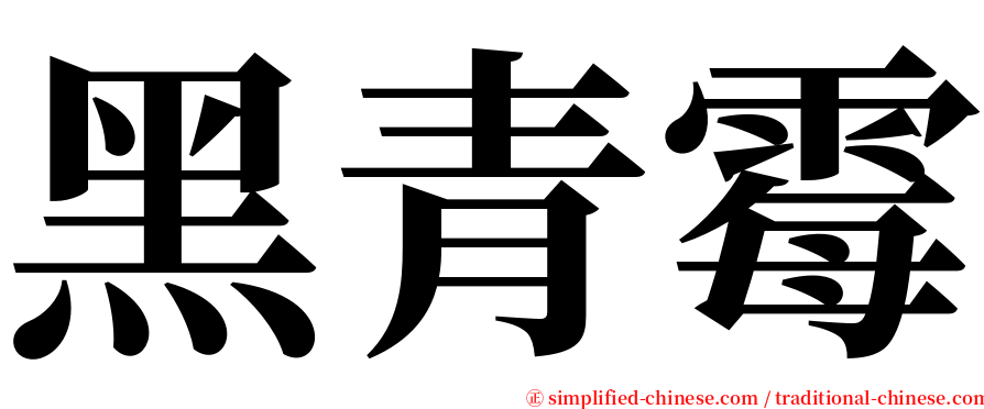 黑青霉 serif font