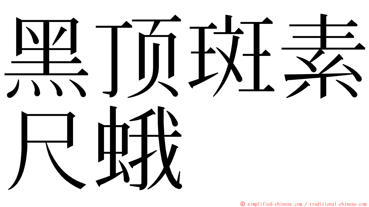 黑顶斑素尺蛾 ming font